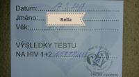 Testy dívek