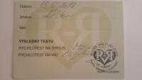 Testy dívek